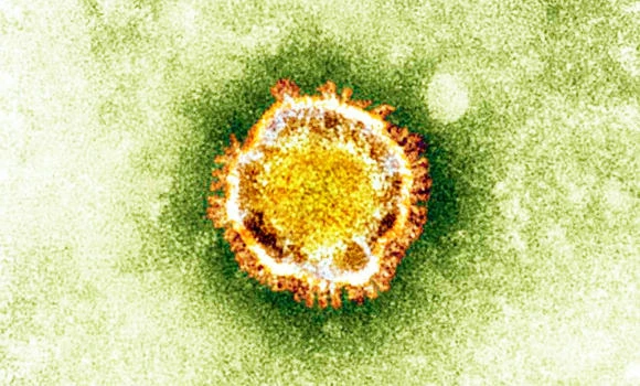 MERS alert tightened as 100th case emerges