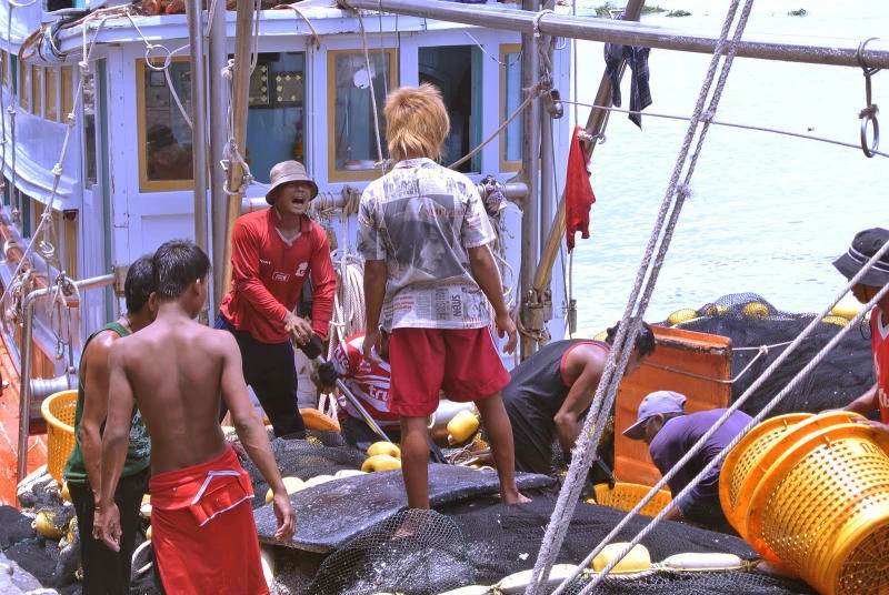‘Serious abuses’ on Thai fishing boats, says ILO