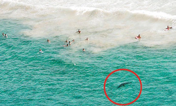 87 drowning cases in 2012 spark alert