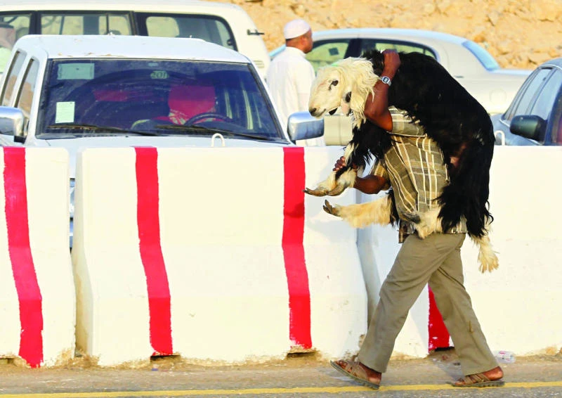 Eid rush forces customers to use ‘illegal’ butchers
