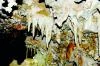 Caves potential tourist sites