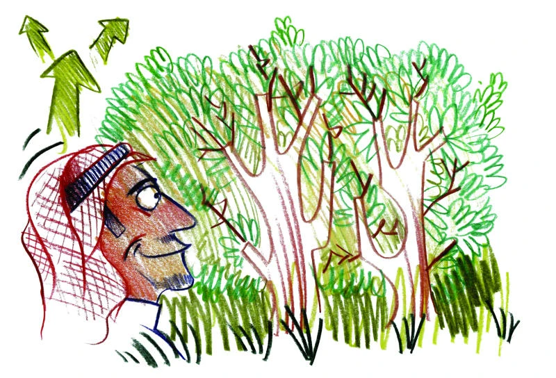 Activists want EP forest declared nature reserve