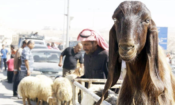 Riyadh gears up for Eid Al-Adha celebrations