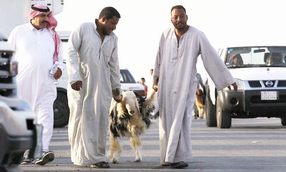 Animal prices soar in Riyadh