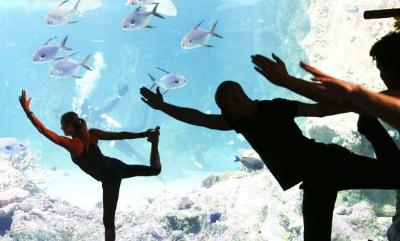 Women more interested in yoga than man