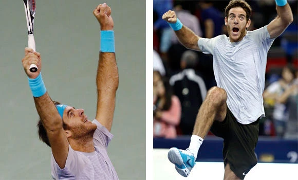 Del Potro sinks Nadal to set up final with Djokovic