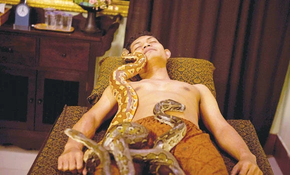 Indonesian ‘snake massage’ offers a unique treatment