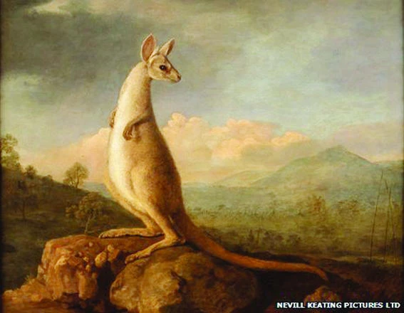 Aussie bid to buy kangaroo, dingo paintings foiled
