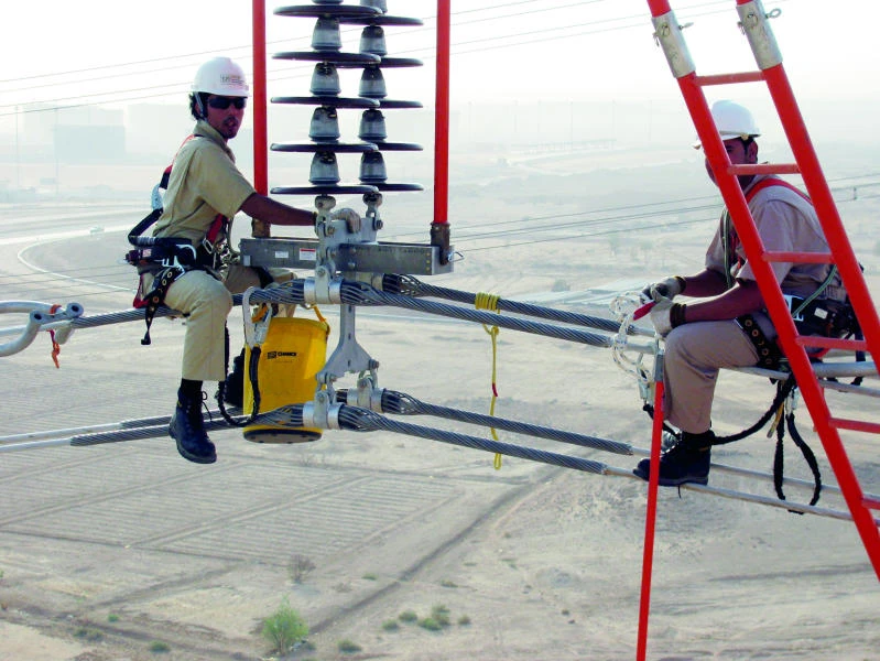 SEC awards contract to Sawary Energy