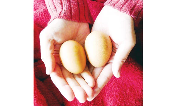 Eggs are good for you! (Part 3)