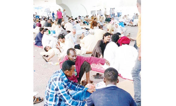 Sit-in strategy of expats pays off