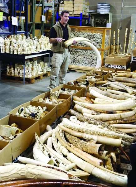 US destroys 6 tons of seized ivory