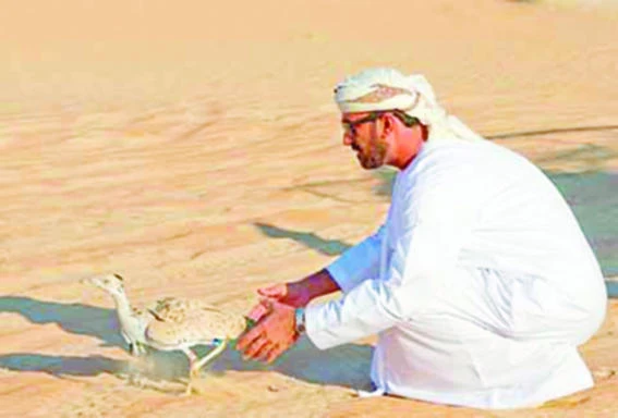 Pakistan issues houbara hunting permits to Gulf states dignitaries