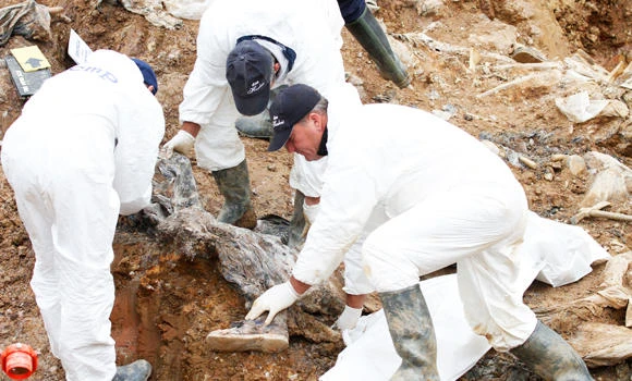 Remains of 430 war victims exhumed from mass grave in Bosnia