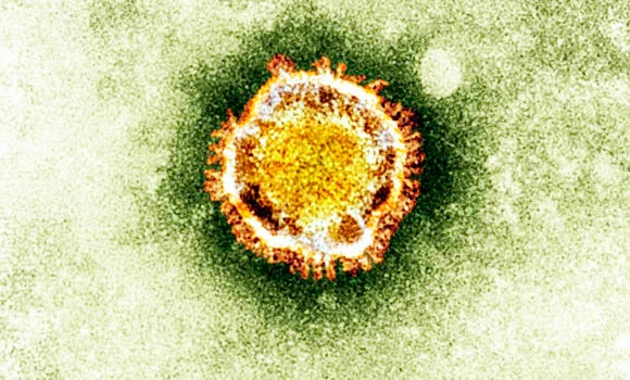 First MERS case found in Kuwait