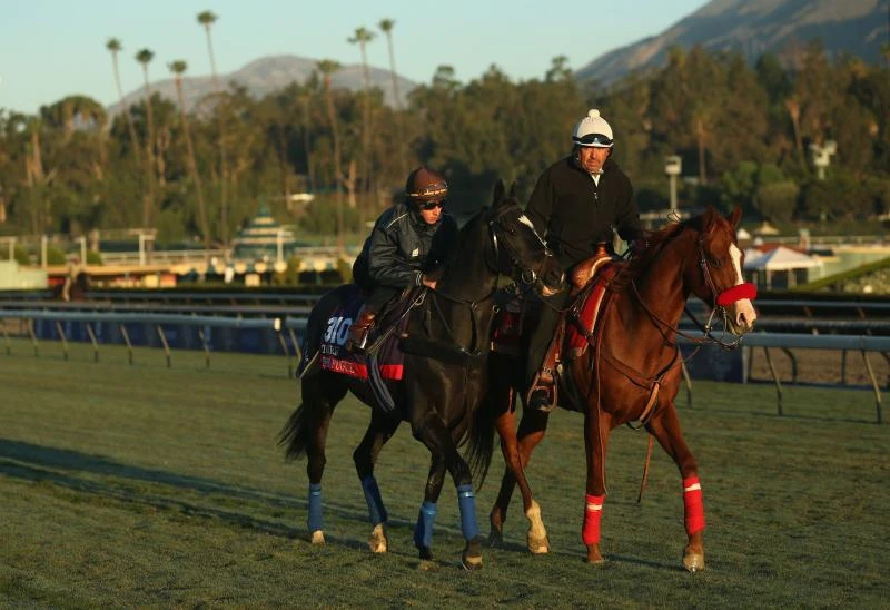 Filly The Fugue boldly targets Breeders’ Cup Turf