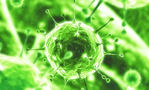 Fourth MERS death in Qatar