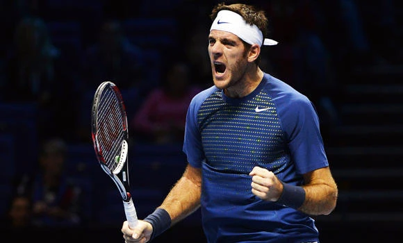 Del Potro hits back to down Gasquet