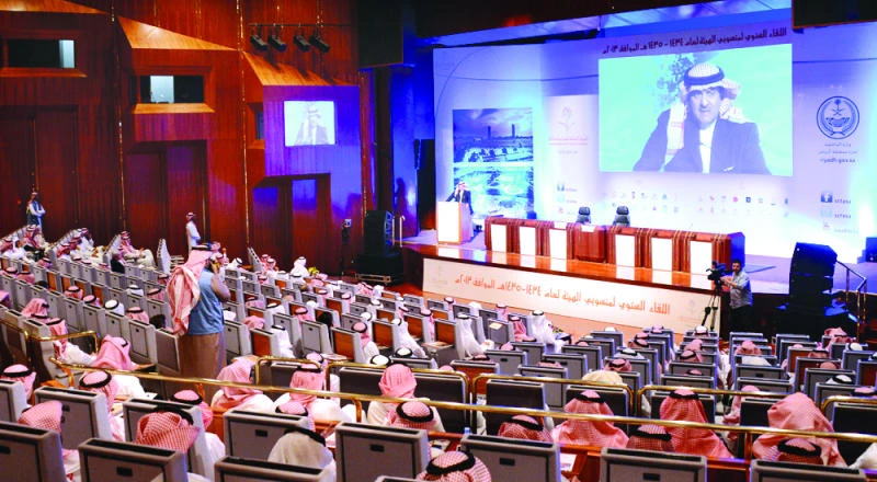 SCTA sees surge in home tourism