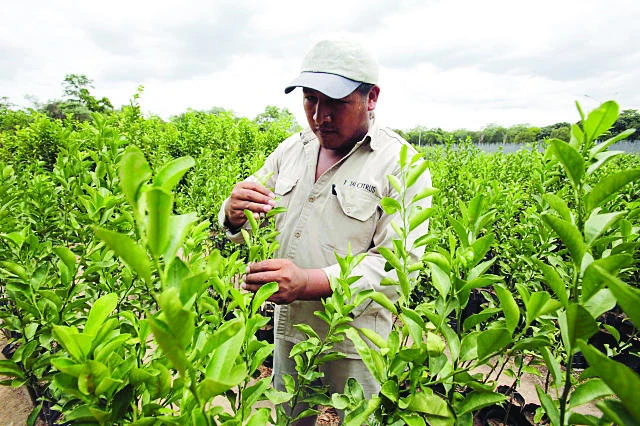 Riyadh to host Saudi Agriculture 2014
