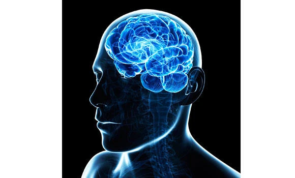 Unraveling the mysteries of the brain
