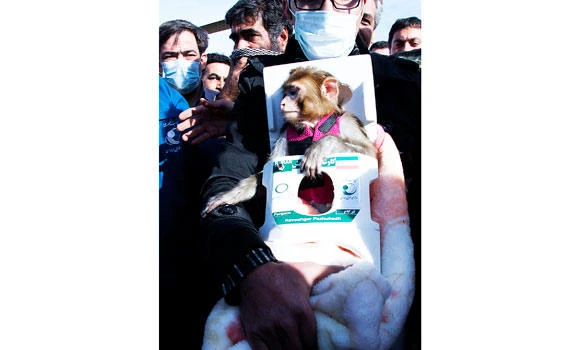 Ape-solutely fantastic: Second Iran monkey visits space