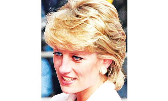 ‘No credible proof Diana murdered’