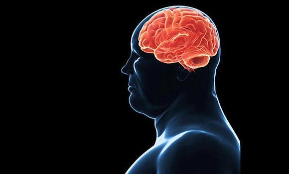How to make the brain control obesity (Part 1)