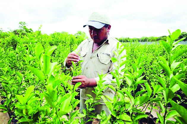 5% farm produce contaminated