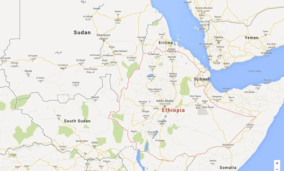 Ethiopia OKs 361 Saudi investment projects