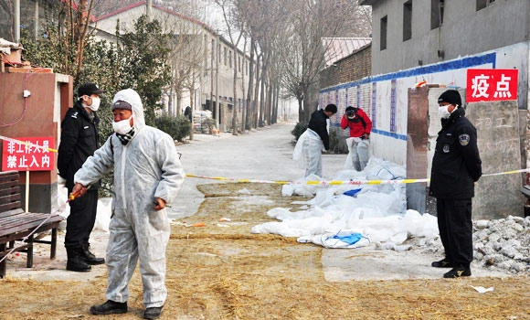 Bird flu case triggers scare in Taiwan