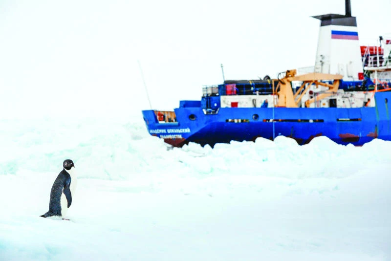 New Year on ice as weather stalls Antarctic air-sea rescue