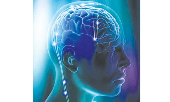 How to make the brain control obesity (Part 3)