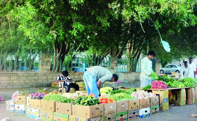 Winter brings vegetable prices down