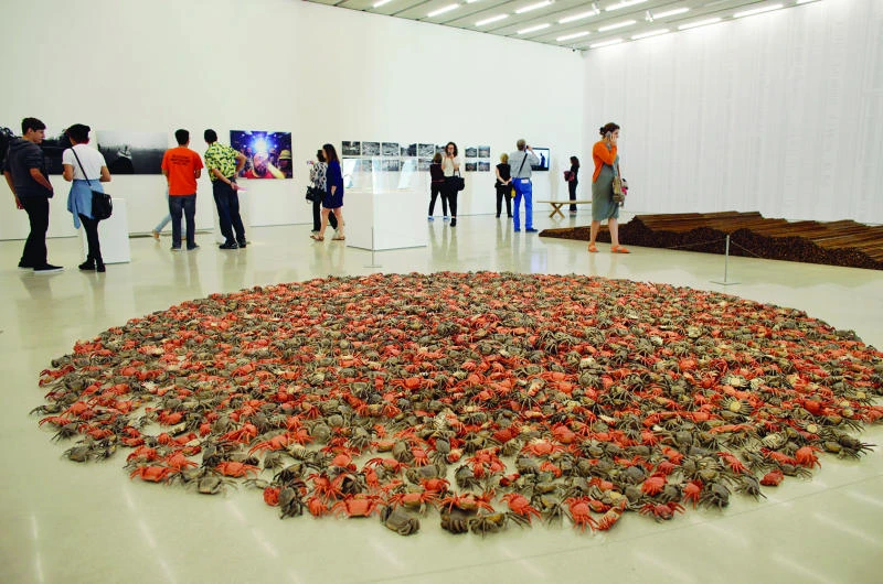Boats, pearls, crabs: New museum channels Miami
