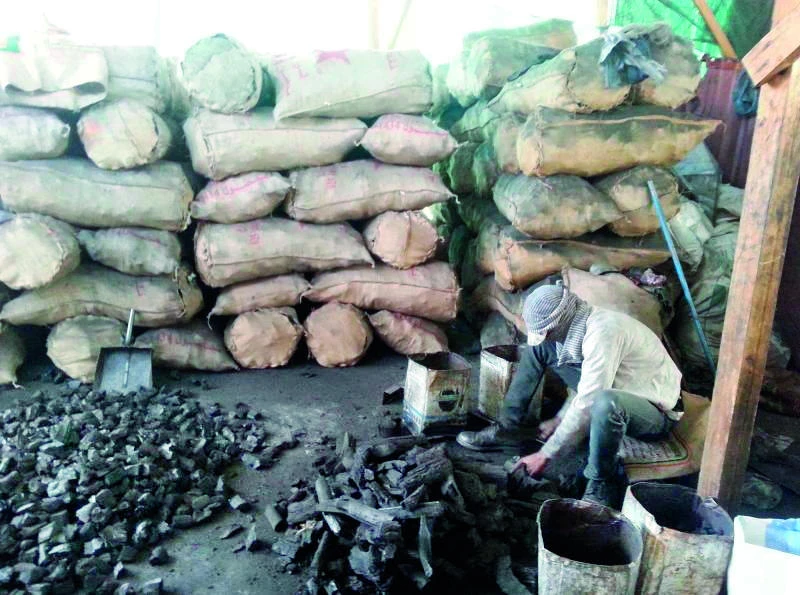 Madinah firewood markets flourish as cold snap bites