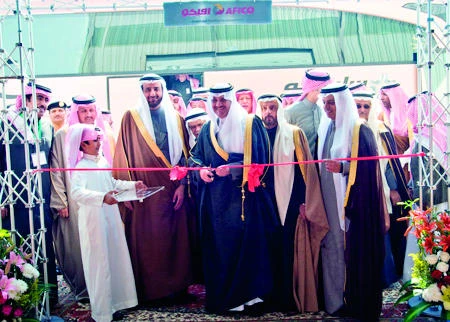 Fiberglass insulation facility launched in EP