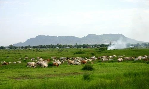 Four local firms acquire Sudan agricultural lands