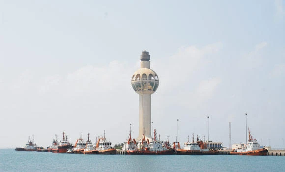 Shoura Council discusses seaport transformation