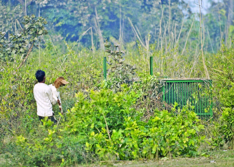 Hunters on stakeout for ‘hungry’ man-eater