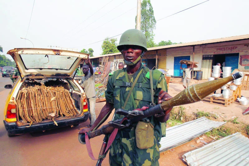 Muslim exodus may lead to food crisis in C. African Republic