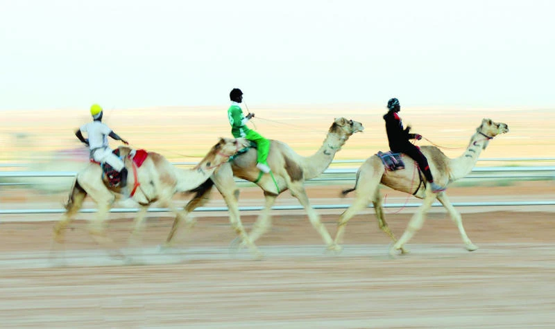 Rich culture unveiled at Janadriyah