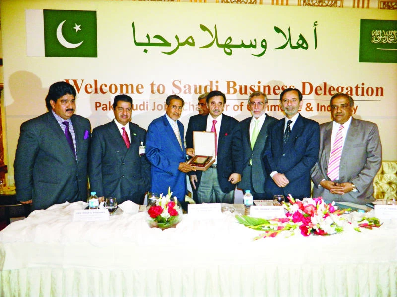 Saudi-Pakistan talks focus on investment opportunities