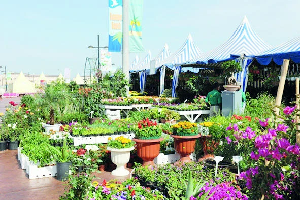 Jubail decked up for gardens and plants fest