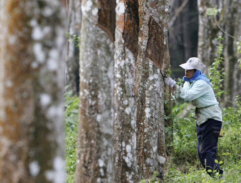 Malaysia hosts catalog show