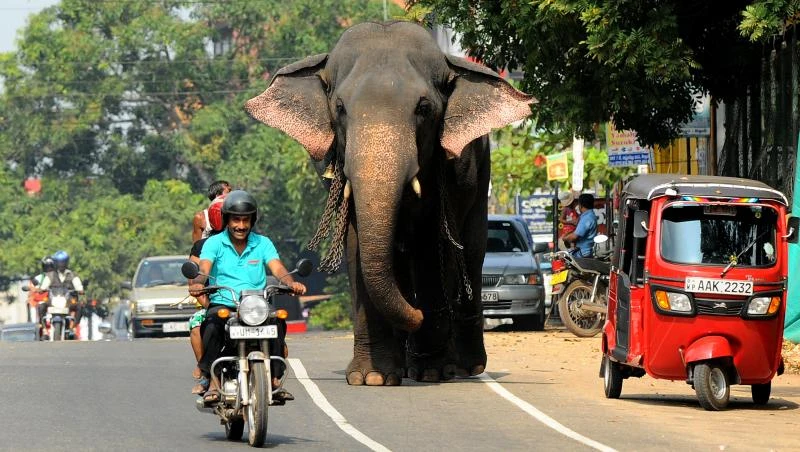 Sri Lanka president 'uncomfortable' with rights resolution