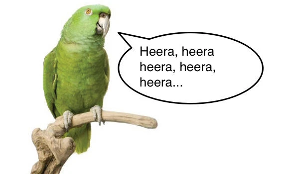 Shrieking pet parrot tips off cops to murder