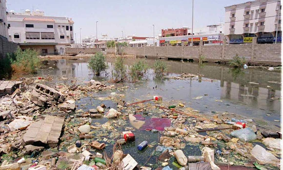 Sanitation problems resurface in Jeddah neighborhoods