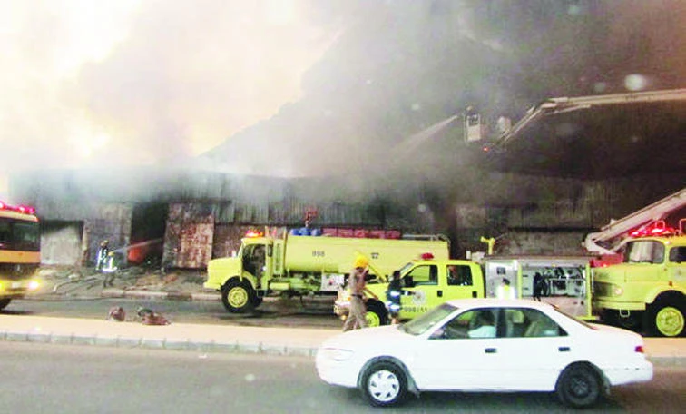 Fires killed 285, caused SR342m damage in 2012-13