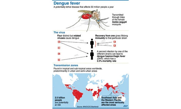 Jeddah records 48 cases of dengue fever in two weeks